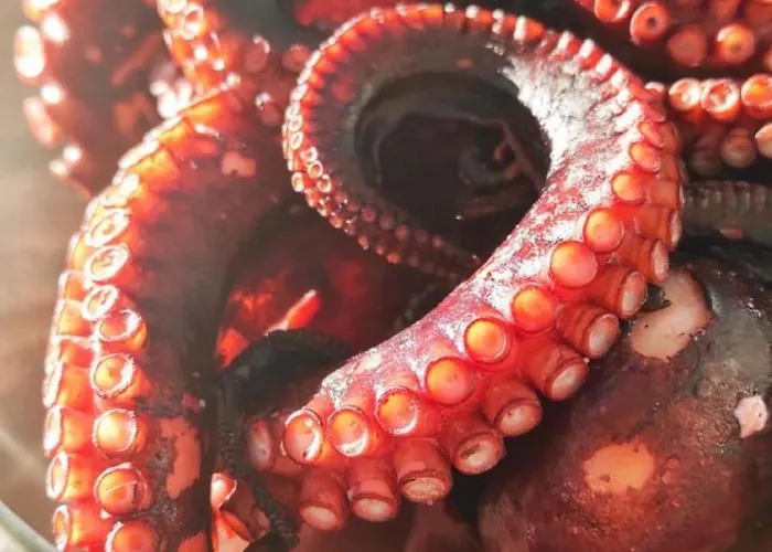 Fabiene Familyholidays Gelsonia Чефалу