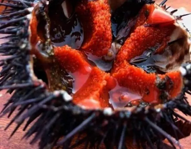 Appartement Fabiene Familyholidays Gelsonia